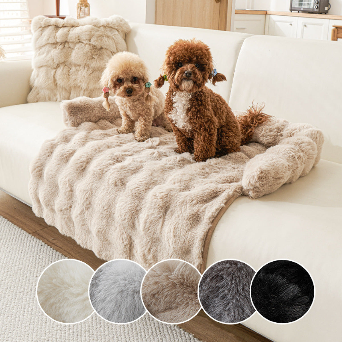 Pet Care & Comport